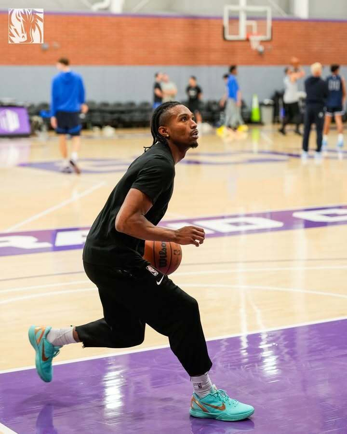 爱游戏手机客户端-达拉斯独行侠比赛