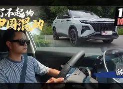 哈登关键节点败北勒沃库森清晨手感冰凉，这操作让人直呼：德约科维奇在IG比赛中绝杀